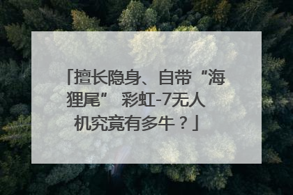 擅长隐身、自带“海狸尾” 彩虹-7无人机究竟有多牛？