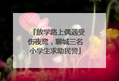 放学路上偶遇受伤夜鹭，聊城三名小学生求助民警