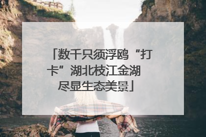 数千只须浮鸥“打卡”湖北枝江金湖 尽显生态美景