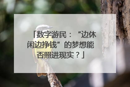 数字游民：“边休闲边挣钱”的梦想能否照进现实？