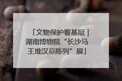 文物保护看基层｜湖南博物院“长沙马王堆汉墓陈列”展