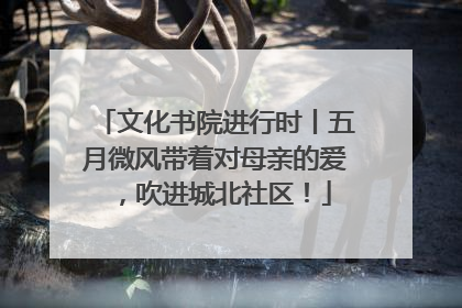 文化书院进行时丨五月微风带着对母亲的爱，吹进城北社区！