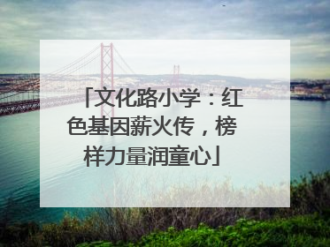 文化路小学：红色基因薪火传，榜样力量润童心
