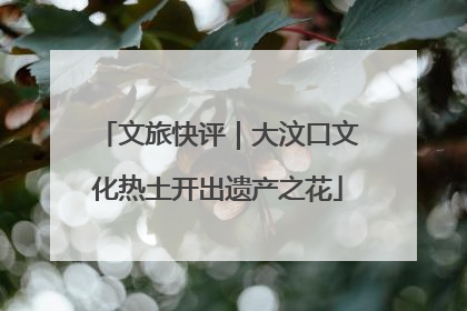 文旅快评｜大汶口文化热土开出遗产之花