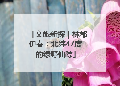 文旅新探｜林都伊春：北纬47度的绿野仙踪