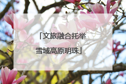 文旅融合托举雪域高原明珠