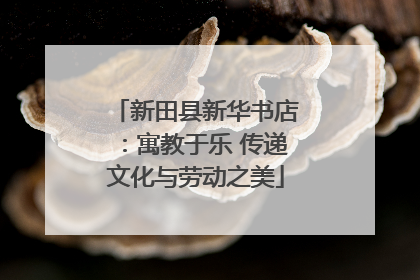 新田县新华书店：寓教于乐 传递文化与劳动之美