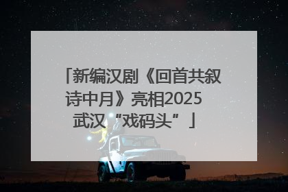 新编汉剧《回首共叙诗中月》亮相2025武汉“戏码头”