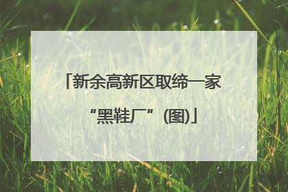 新余高新区取缔一家“黑鞋厂”(图)