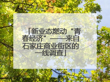新业态燃动“青春经济”——来自石家庄商业街区的一线调查