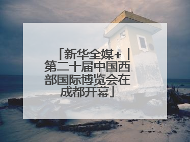 新华全媒+丨第二十届中国西部国际博览会在成都开幕