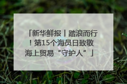 新华鲜报丨踏浪而行！第15个海员日致敬海上贸易“守护人”