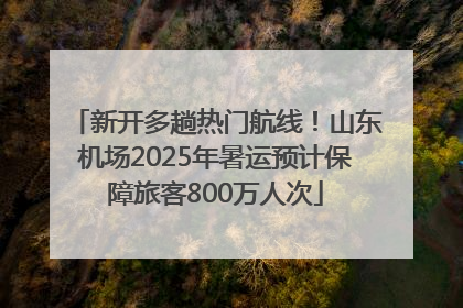 新开多趟热门航线！山东机场2025年暑运预计保障旅客800万人次