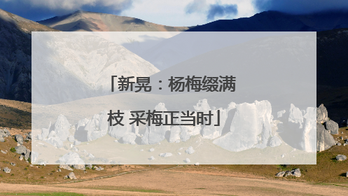 新晃：杨梅缀满枝 采梅正当时