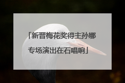 新晋梅花奖得主孙娜专场演出在石唱响