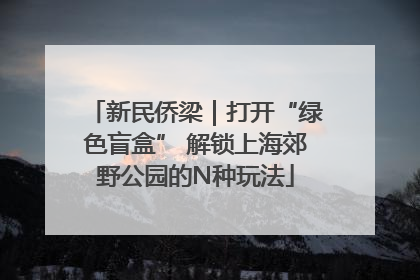 新民侨梁｜打开“绿色盲盒” 解锁上海郊野公园的N种玩法