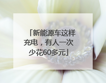 新能源车这样充电，有人一次少花60多元