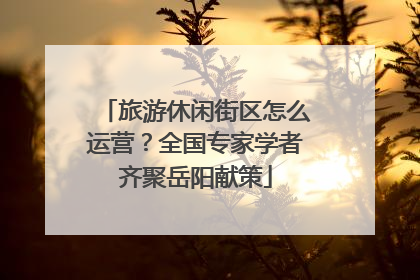 旅游休闲街区怎么运营？全国专家学者齐聚岳阳献策