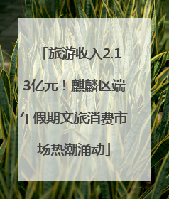 旅游收入2.13亿元！麒麟区端午假期文旅消费市场热潮涌动