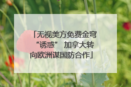 无视美方免费金穹“诱惑” 加拿大转向欧洲谋国防合作