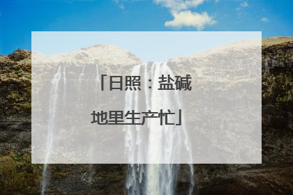 日照：盐碱地里生产忙