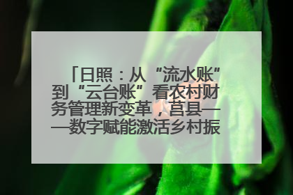 日照：从“流水账”到“云台账”看农村财务管理新变革，莒县——数字赋能激活乡村振兴“一池春水”