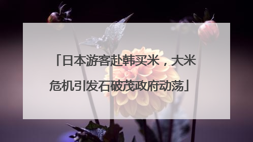 日本游客赴韩买米，大米危机引发石破茂政府动荡