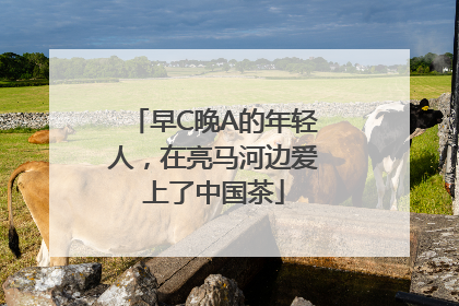 早C晚A的年轻人，在亮马河边爱上了中国茶