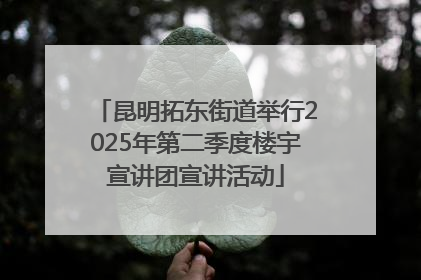 昆明拓东街道举行2025年第二季度楼宇宣讲团宣讲活动