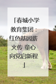 春城小学教育集团：红色基因薪火传 童心向党启新程