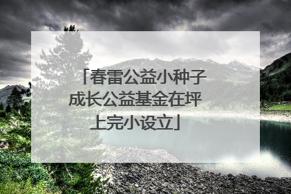 春雷公益小种子成长公益基金在坪上完小设立