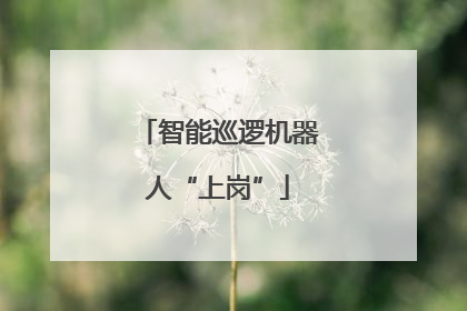 智能巡逻机器人“上岗”