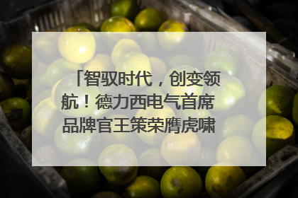 智驭时代，创变领航！德力西电气首席品牌官王策荣膺虎啸奖年度品牌人物