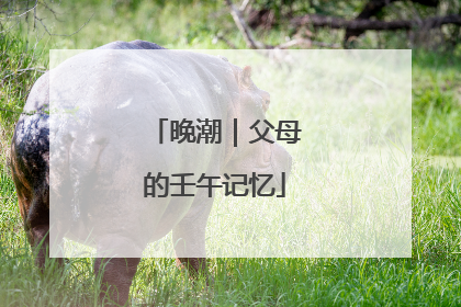晚潮｜父母的壬午记忆