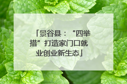 景谷县：“四举措”打造家门口就业创业新生态