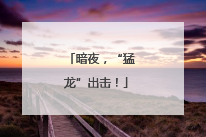 暗夜，“猛龙”出击！