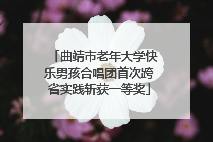 曲靖市老年大学快乐男孩合唱团首次跨省实践斩获一等奖