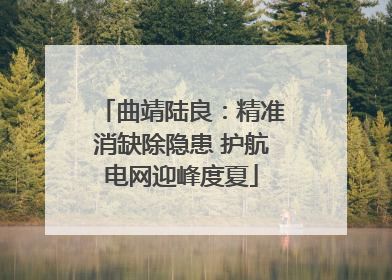 曲靖陆良：精准消缺除隐患 护航电网迎峰度夏