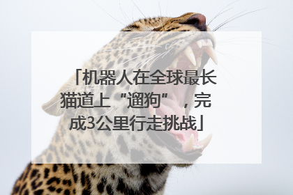 机器人在全球最长猫道上“遛狗”，完成3公里行走挑战