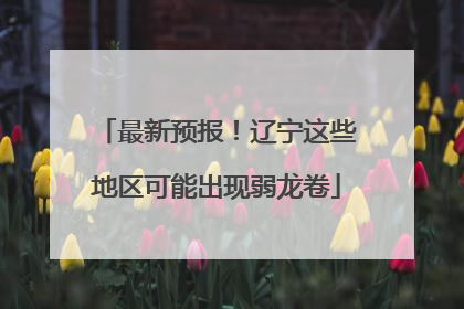 最新预报！辽宁这些地区可能出现弱龙卷