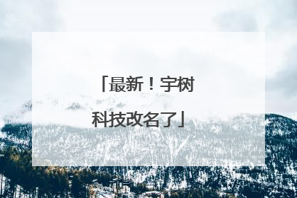 最新！宇树科技改名了