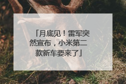 月底见！雷军突然宣布，小米第二款新车要来了