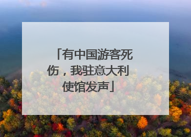 有中国游客死伤，我驻意大利使馆发声
