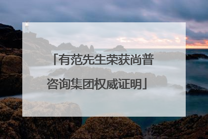有范先生荣获尚普咨询集团权威证明