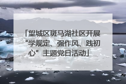 望城区斑马湖社区开展“学规定、强作风、践初心”主题党日活动