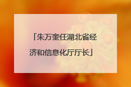 朱万奎任湖北省经济和信息化厅厅长