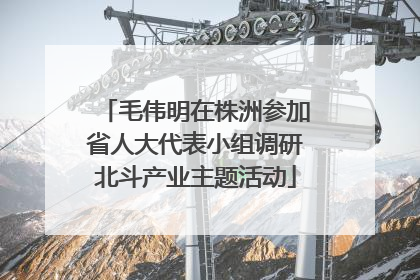 毛伟明在株洲参加省人大代表小组调研北斗产业主题活动
