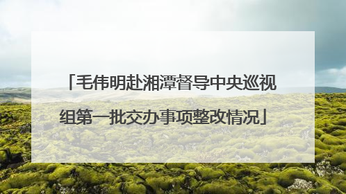 毛伟明赴湘潭督导中央巡视组第一批交办事项整改情况