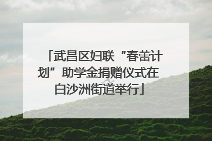 武昌区妇联“春蕾计划”助学金捐赠仪式在白沙洲街道举行