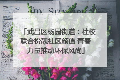 武昌区杨园街道：社校联合扮靓社区颜值 青春力量推动环保风尚